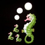 Seahorses Seahorses