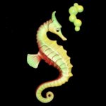 Vintage 50's Enesco Majestic Seahorse Fish Wall Plaque