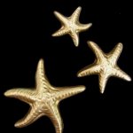 3 Graduating Size Starfish - 6", 4", 3"